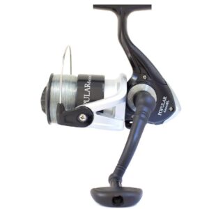Remixon Popular 6000 BL Silver Olta Makinesi